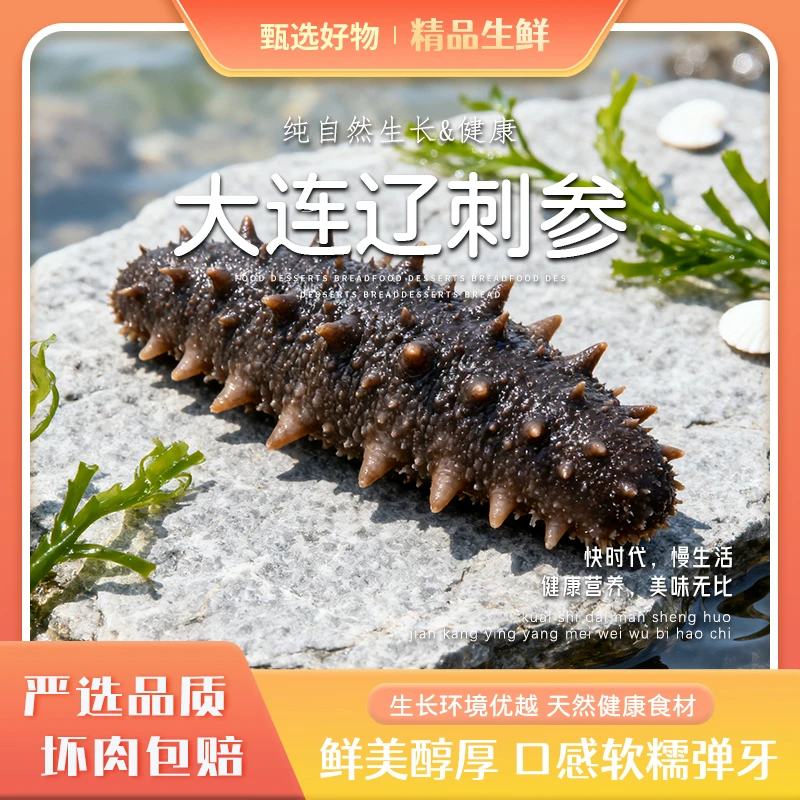6-10只纯淡散装海参滋补实惠之选口感Q弹