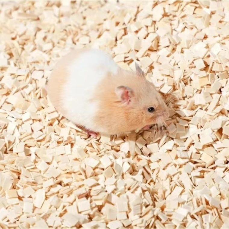 精筛白杨木片仓鼠夏天垫料木粒宠物花枝鼠龙猫兔子蛇除臭垫料