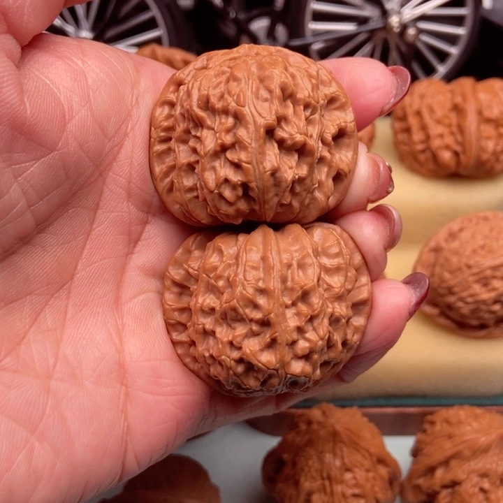 白狮40已打底……核桃14