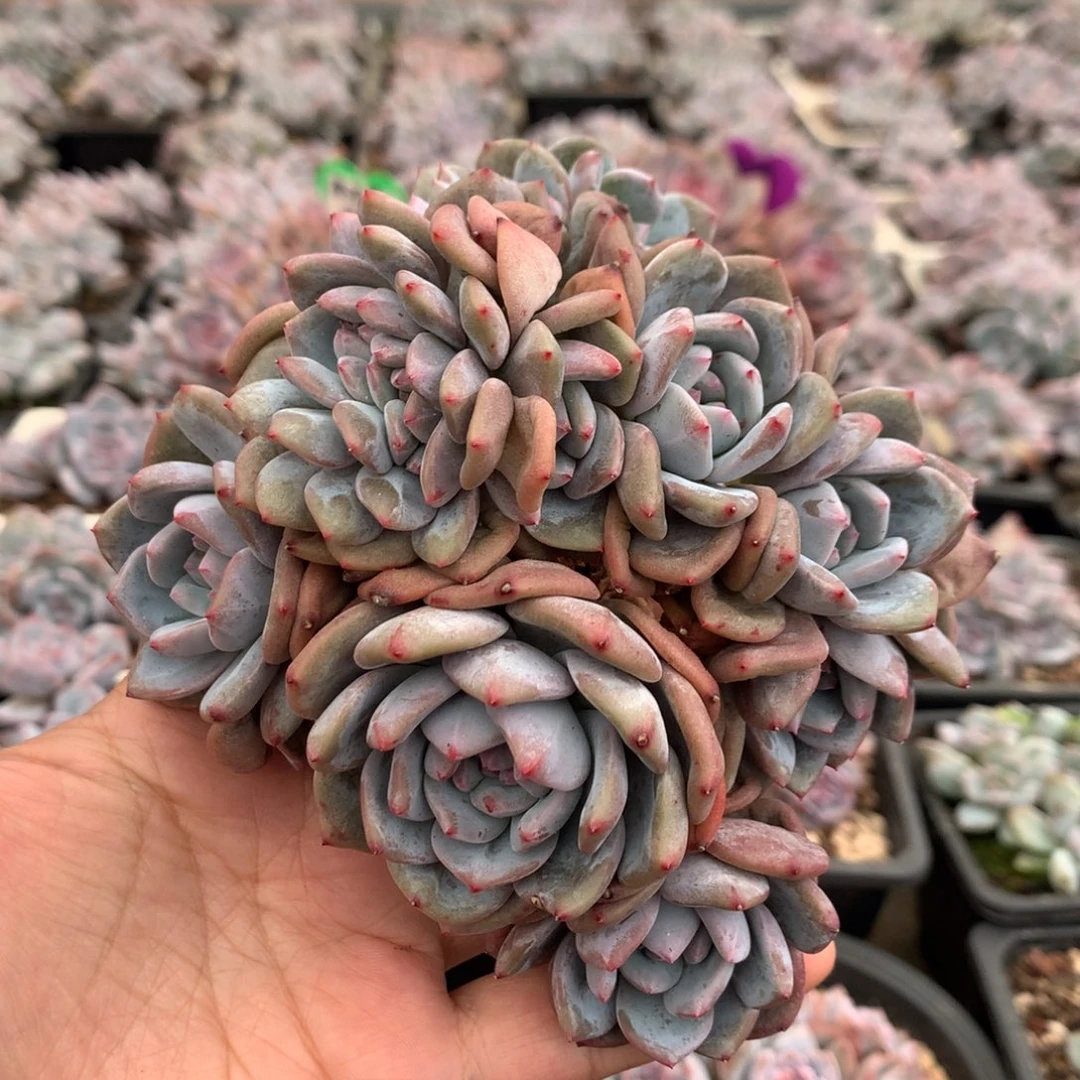 哈哈哈哈哈哈哈哈哈1