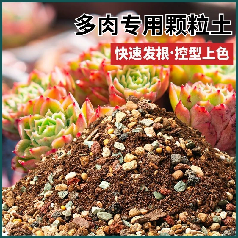 多肉植物通用颗粒营养土疏松透气泥炭土控型控色专用有机种植土壤