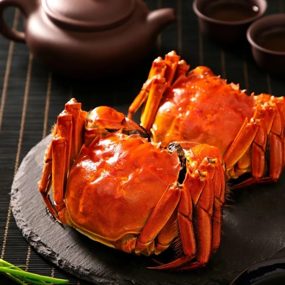 【活蟹】盘锦河蟹 全母蟹 8只装（2.5-2.3两）顺丰次日达