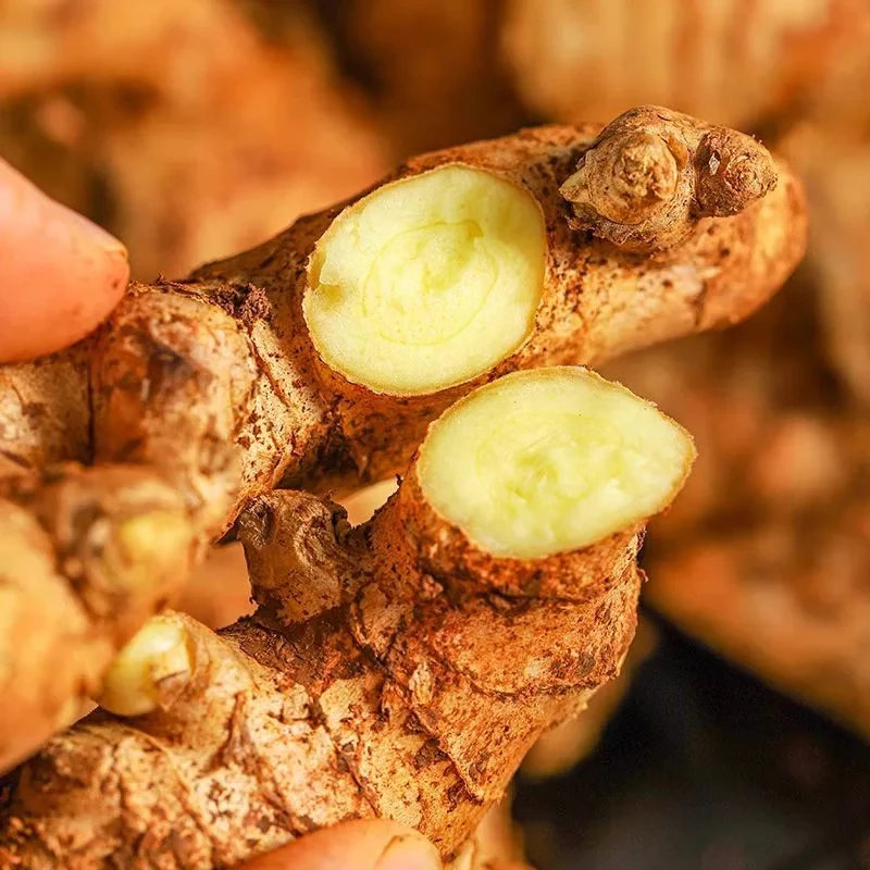 【云南小黄姜】带箱5斤 香味浓郁辛辣够味 现挖生姜 产地直销新鲜姜