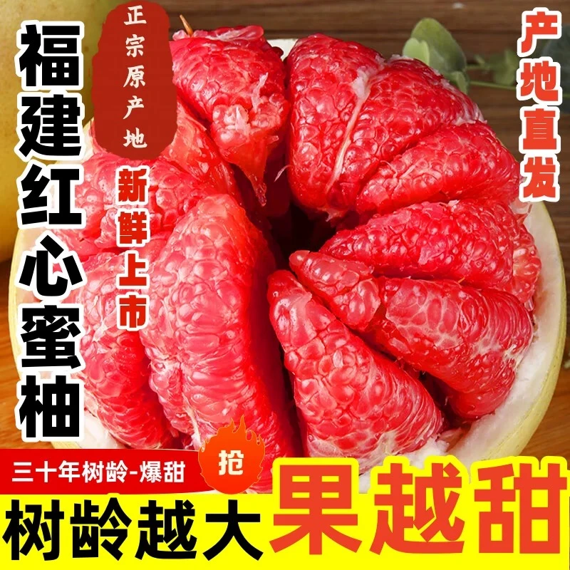 【中秋佳节-礼盒装】正宗福建红心蜜柚应季鲜果核心产区爆甜多汁甜