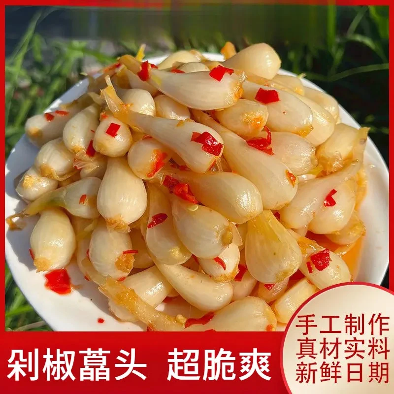 剁椒荞头新鲜腌制酸辣口感四川特产剁椒藠头酸辣酸藠头下饭菜极