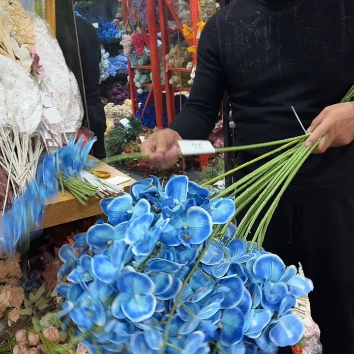 手感蓝色蝴蝶兰5支装