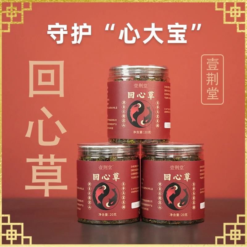 【大伟老师】云南头茬回心草 又名太阳草 野外自然生长 到手4罐