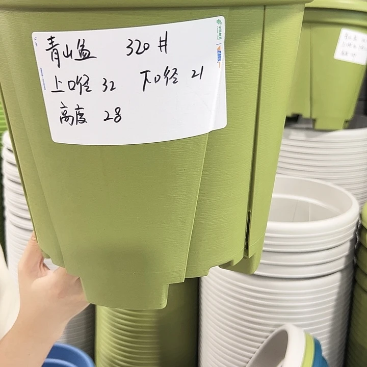 无***送正品青山盆口32高28果绿色无托10只