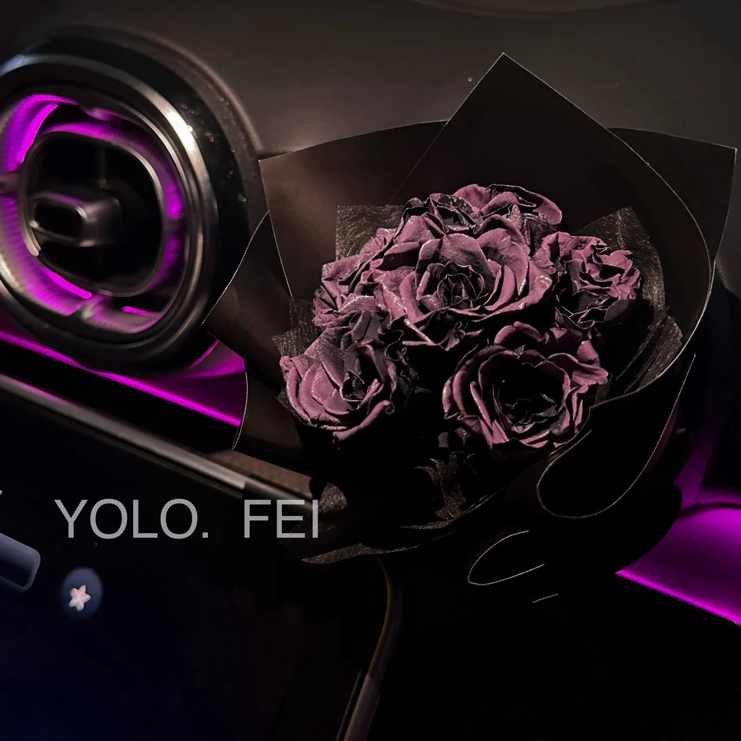 YOLO.FEI原创乌梅子酱永生花玫瑰出风口装饰摆件车载迷你花束礼物