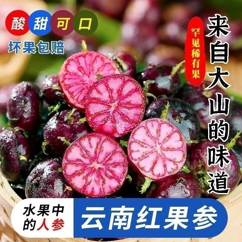 【鲜果尝鲜】云南红果参新鲜现摘高山蜘蛛果算盘果比蓝莓花青素高