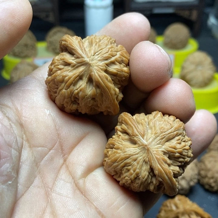 核桃让*山地磨盘555