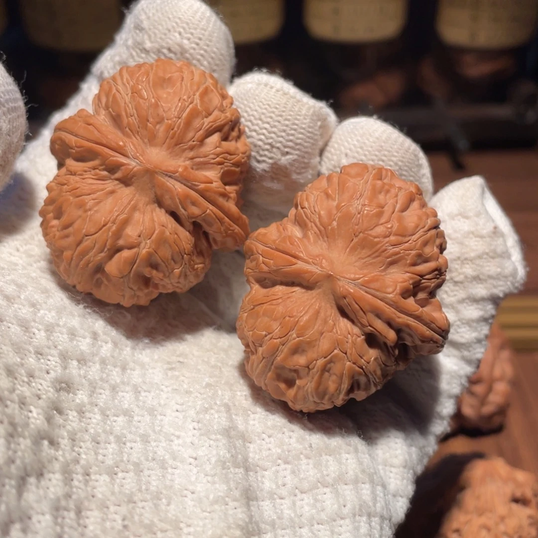 核桃44元宝bbbbnbn