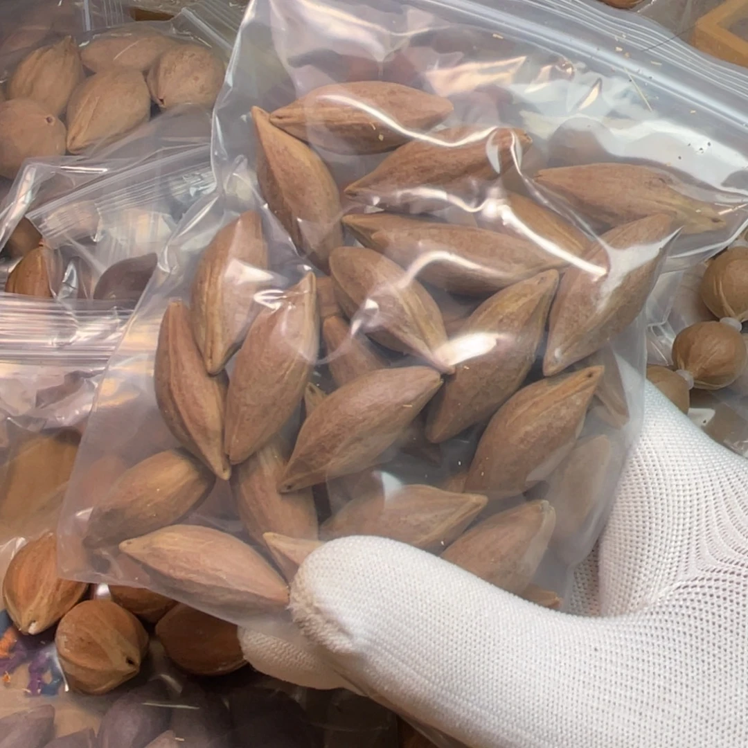 橄榄核手串/手链1