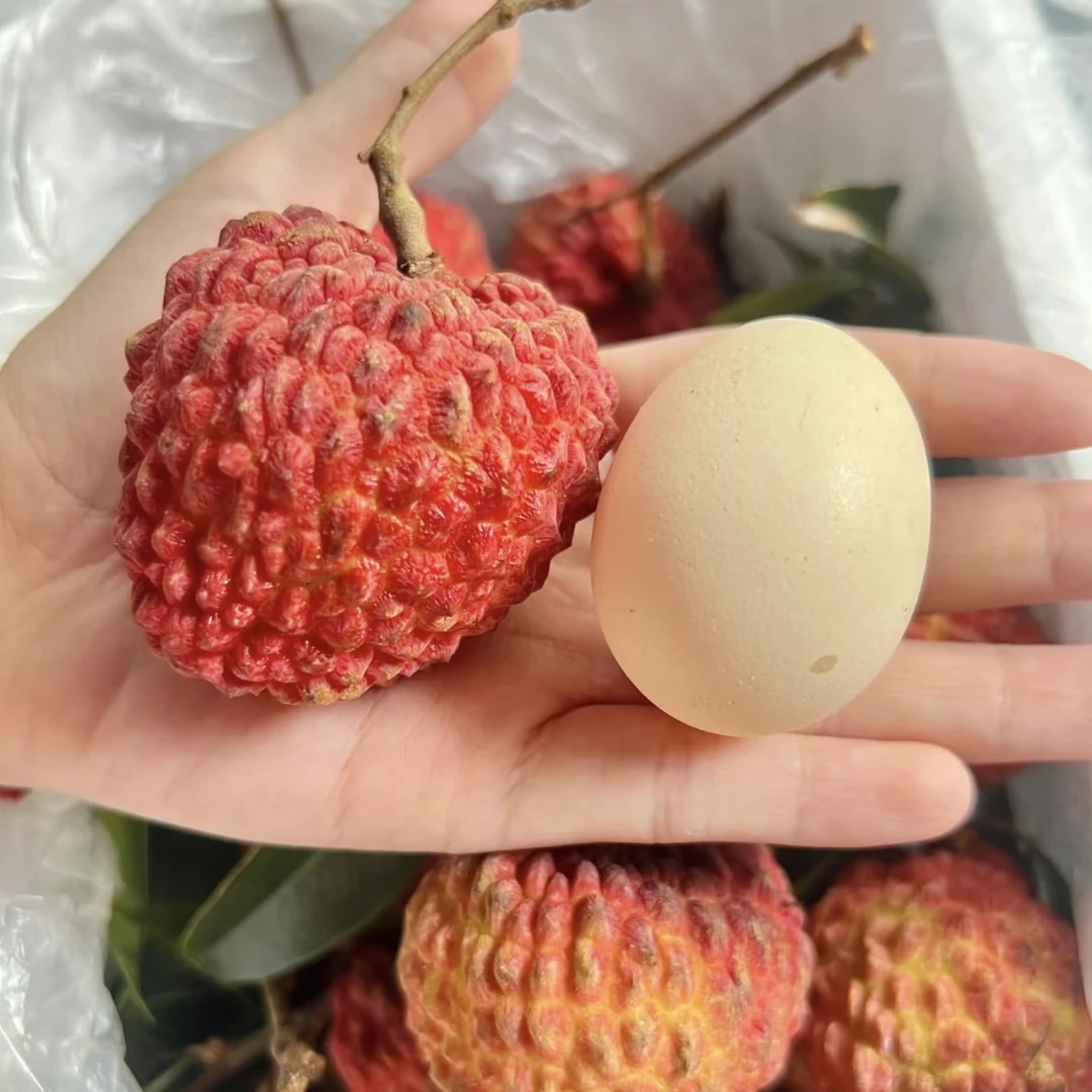 海南空运荔枝王 500g