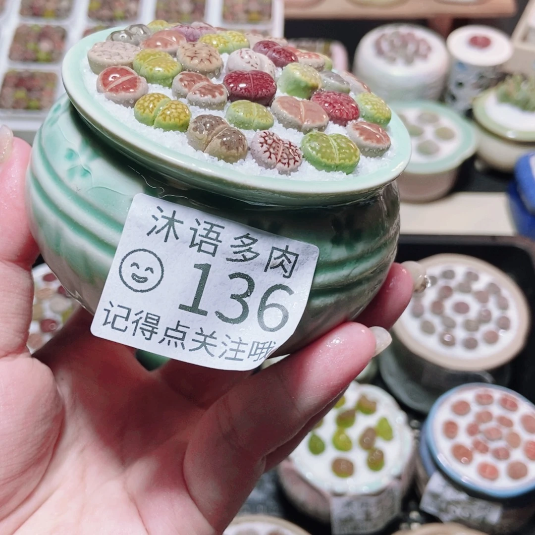一物一拍 所见即所得 136