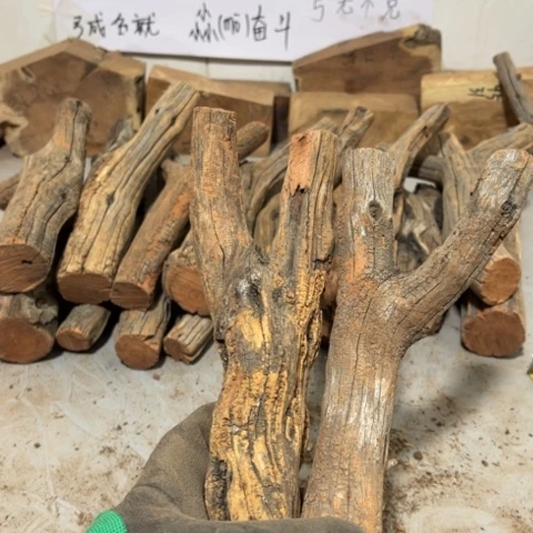 大果紫檀（缅甸花梨）?****?