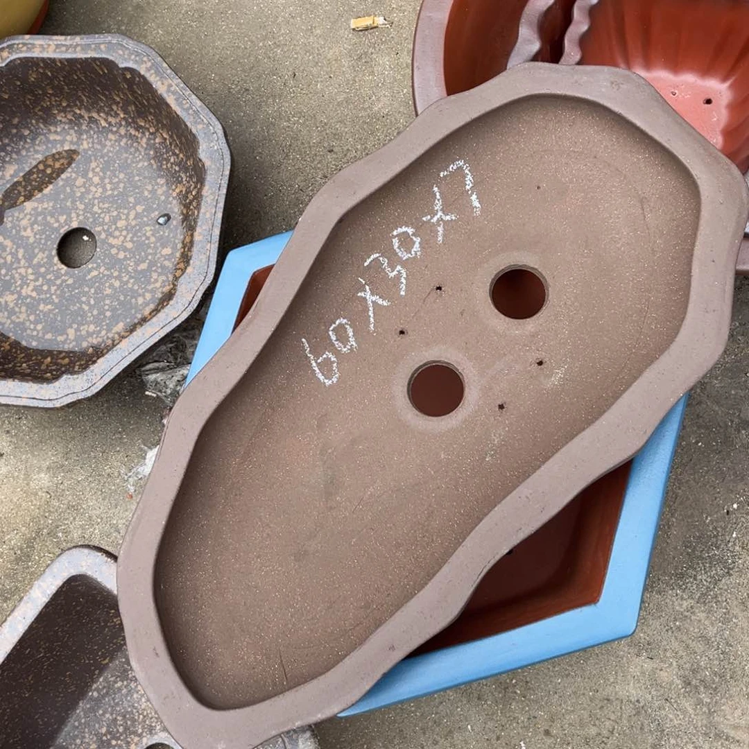 紫砂花盆盆景艺术