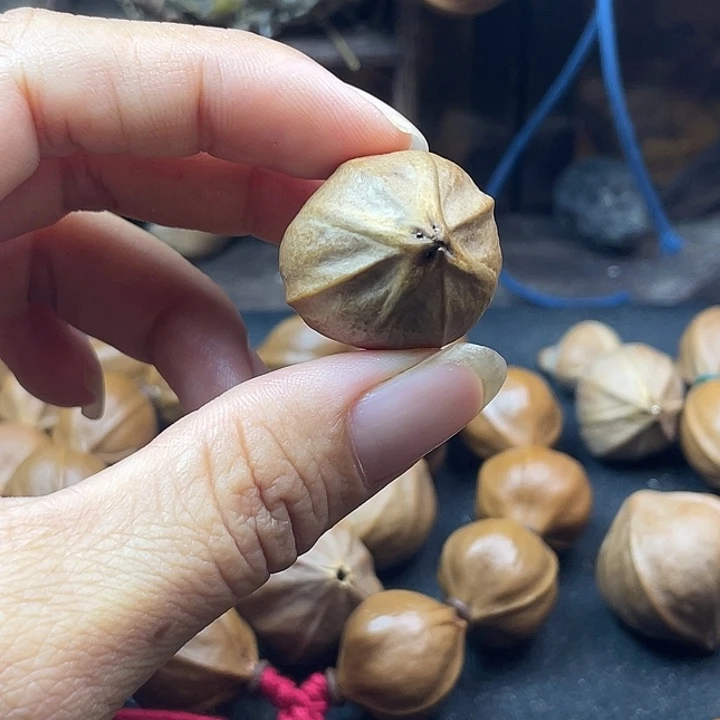 人**戏四花单核橄榄