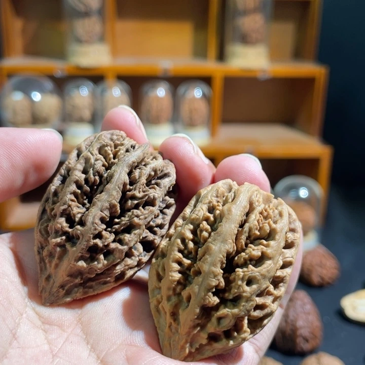 凉***凉文玩核桃把件深海龙脊