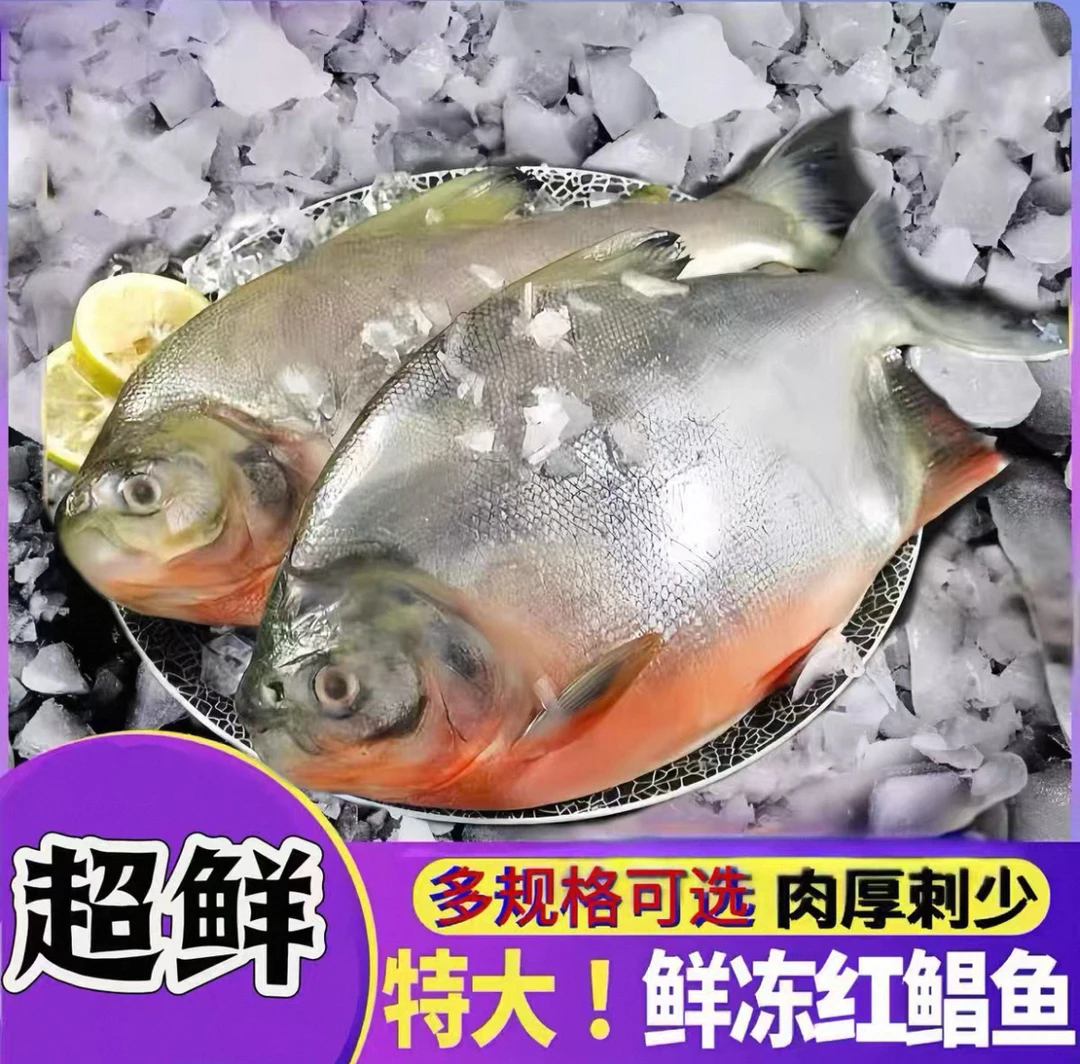 顺丰包邮 六大条鲜活速冻红鲳鱼 一条450-550克