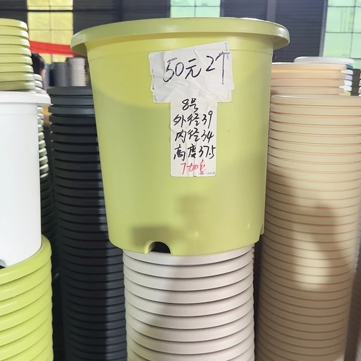 微瑕8#口径40无托果绿5个