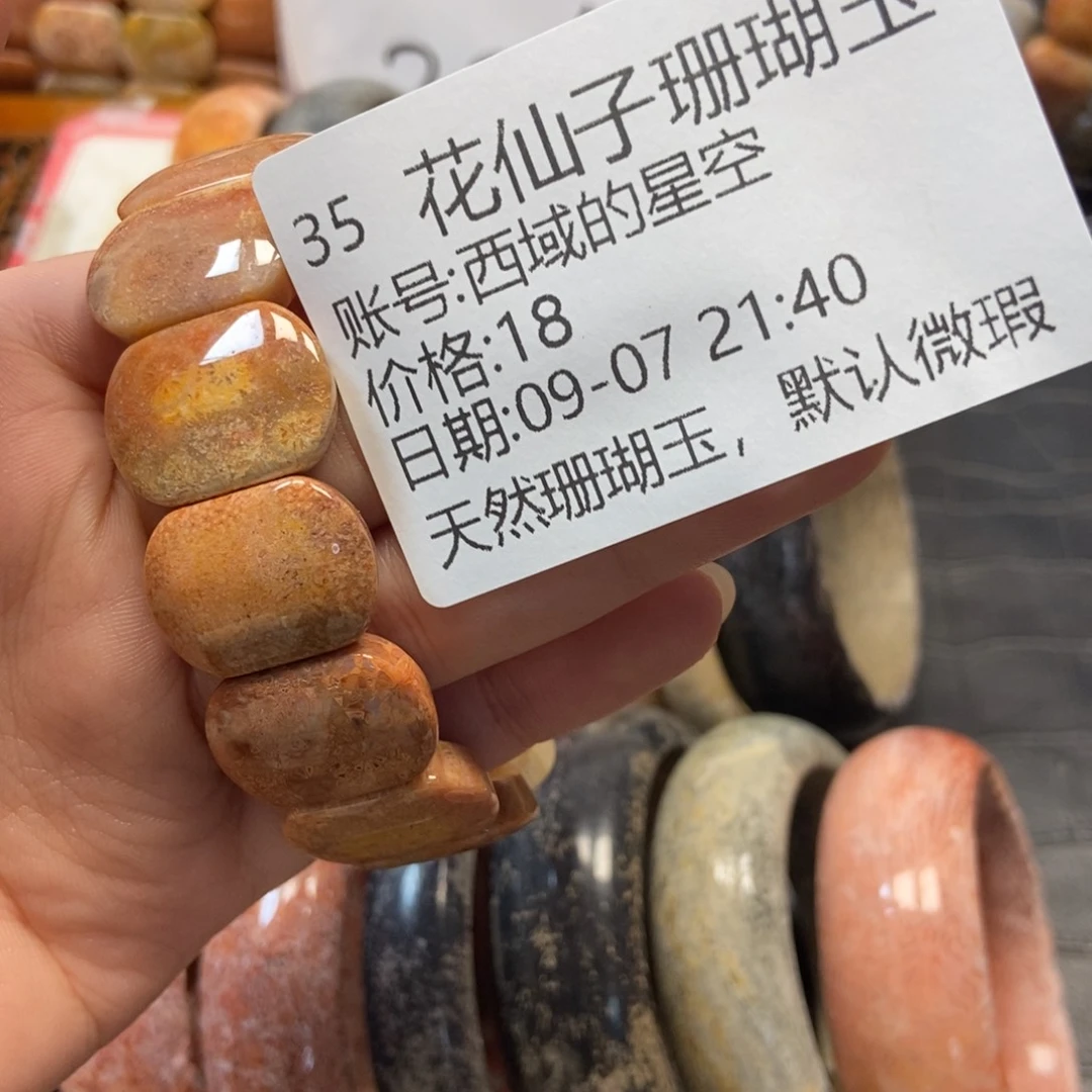 西***空未镶嵌硅化珊瑚（珊瑚玉）珠宝半成品35