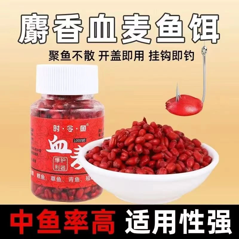 麝香血麦谷麦麦粒鱼饵野钓四季通用颗粒钓饵打窝鲤鱼草鱼挂钩窝料