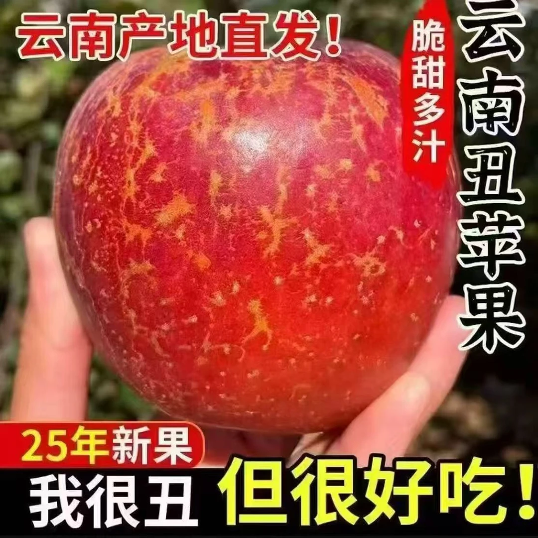 云南昭通丑苹果新鲜脆甜多汁现摘当季水果