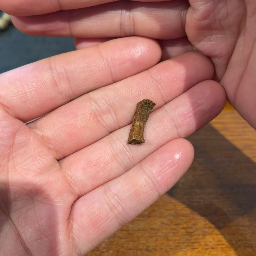 沉香吊坠越南芽庄油结黄棋楠0.16g