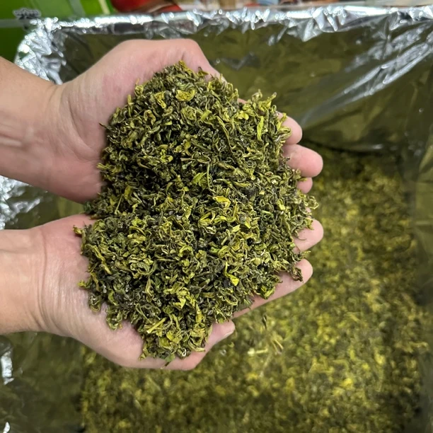 2025年秋茶手工黄金芽（高山品质豆香味）