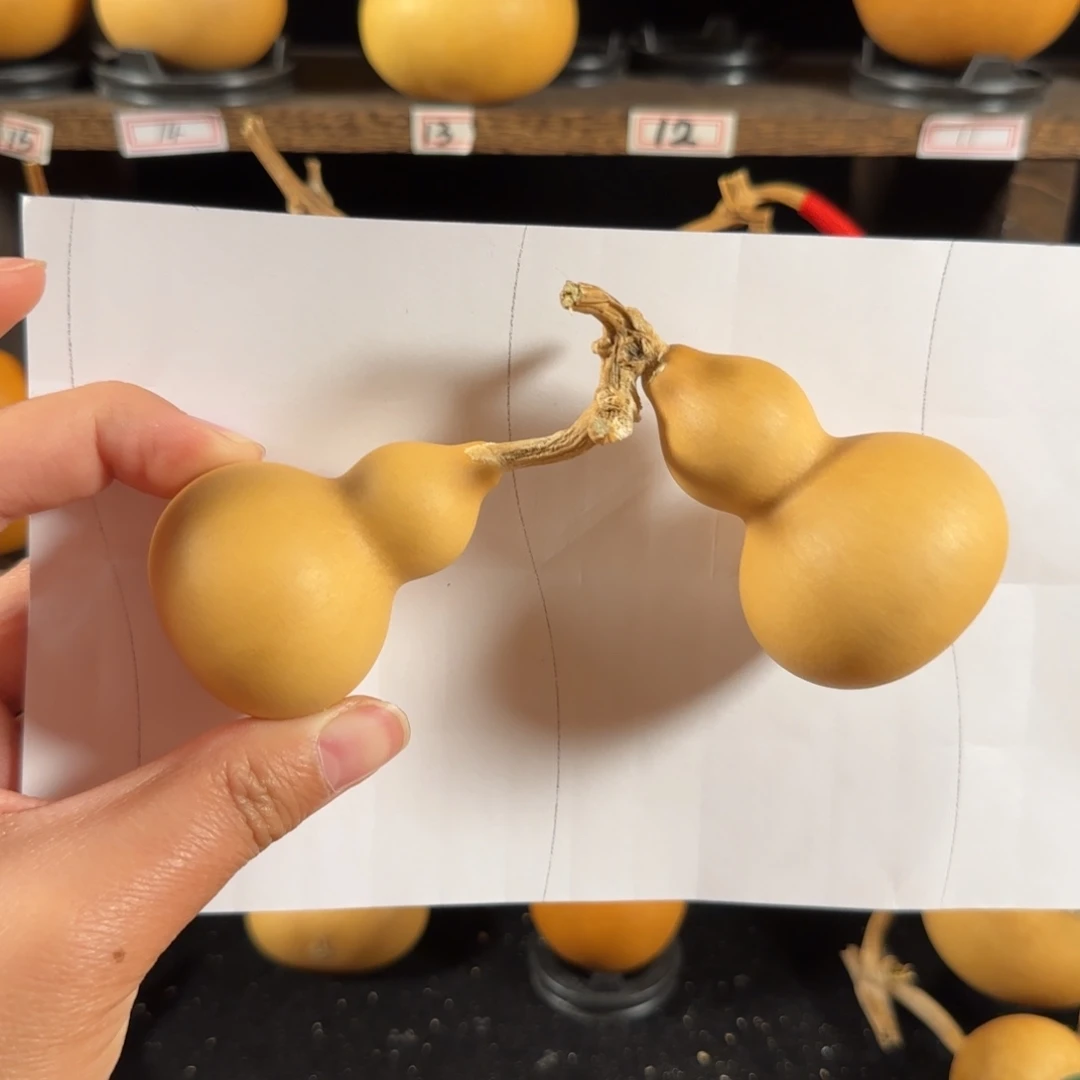 跳****雨葫芦葫芦葫芦葫芦葫芦葫芦