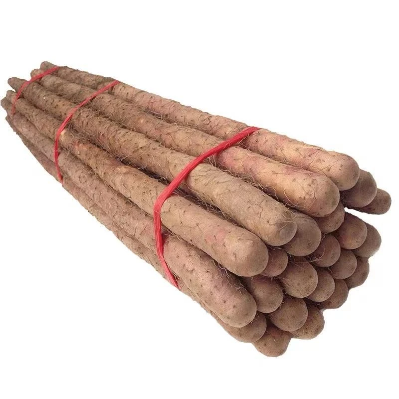 新鲜铁棍山药新鲜蔬菜高品质基地直发专拍粉糯香甜5斤装20-40cm