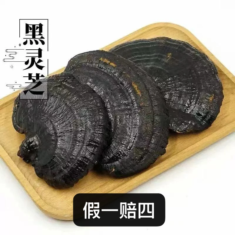 深山特产黑灵芝整枝不苦灵芝净重500克