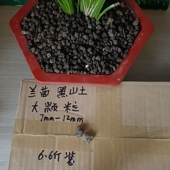 D***森兰菌黑山土大颗粒6.6斤