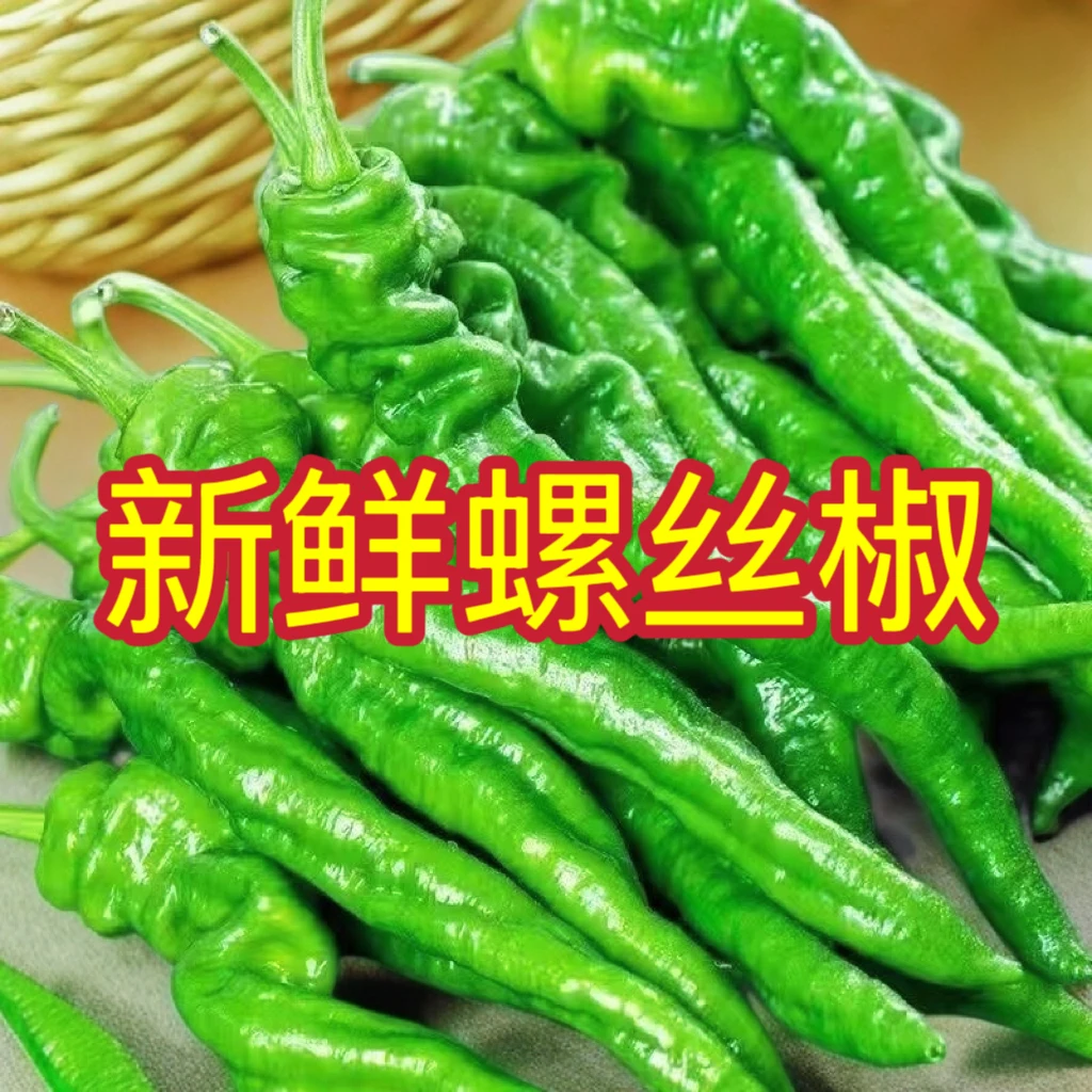 【小霞推荐】新鲜螺丝椒辣椒薄皮微中辣农家自种尖椒土辣椒现摘包邮