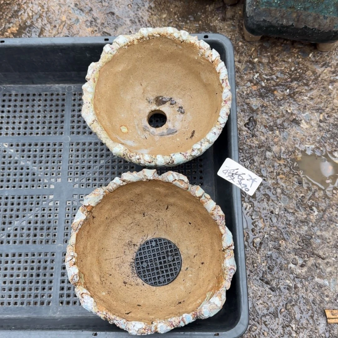 可爱多2个爆裂盆20元