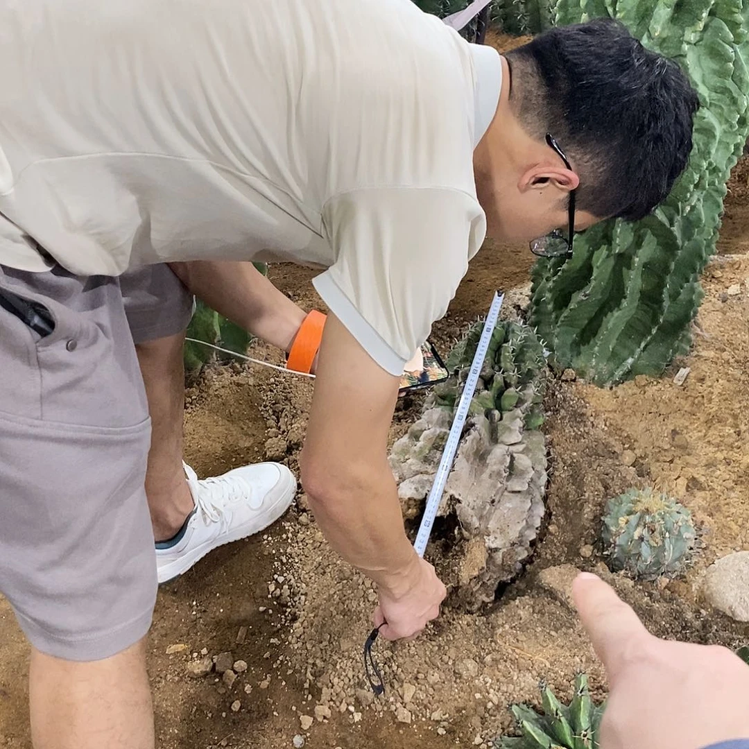 无花朵过**风0000000000000