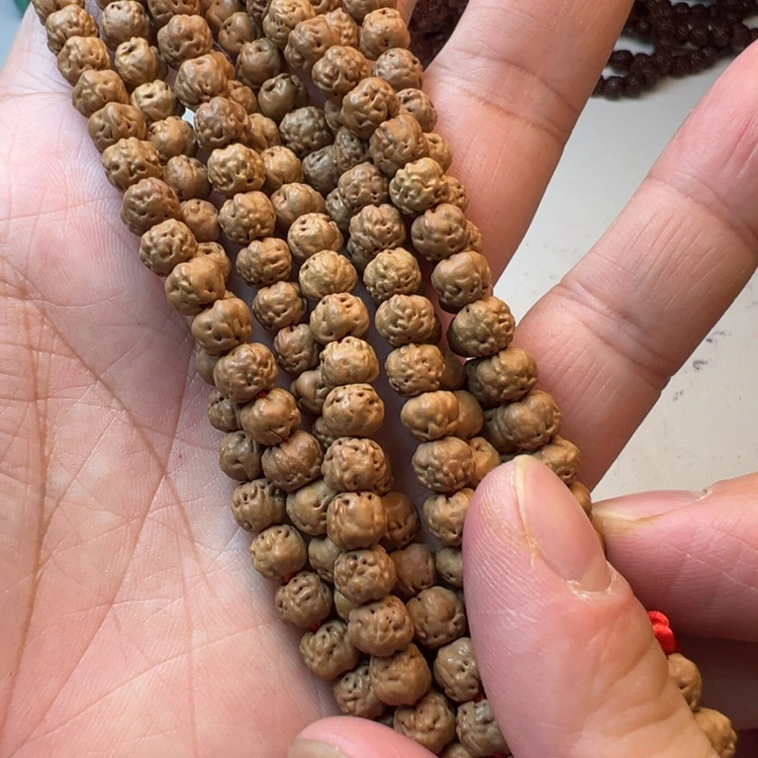 吊坠金刚菩提5爪金龙尺寸6mm