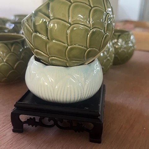 ··2盆++2个塑料托盘··