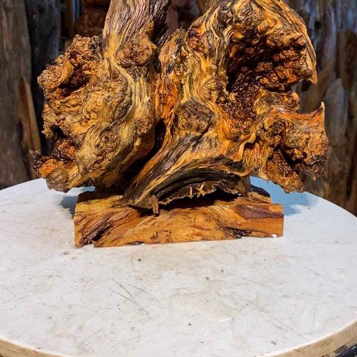 功**艺我们都是你的粉丝5