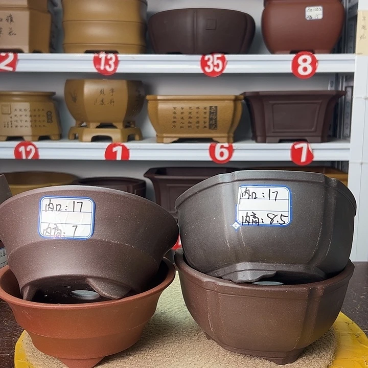 花盆紫砂你在一起