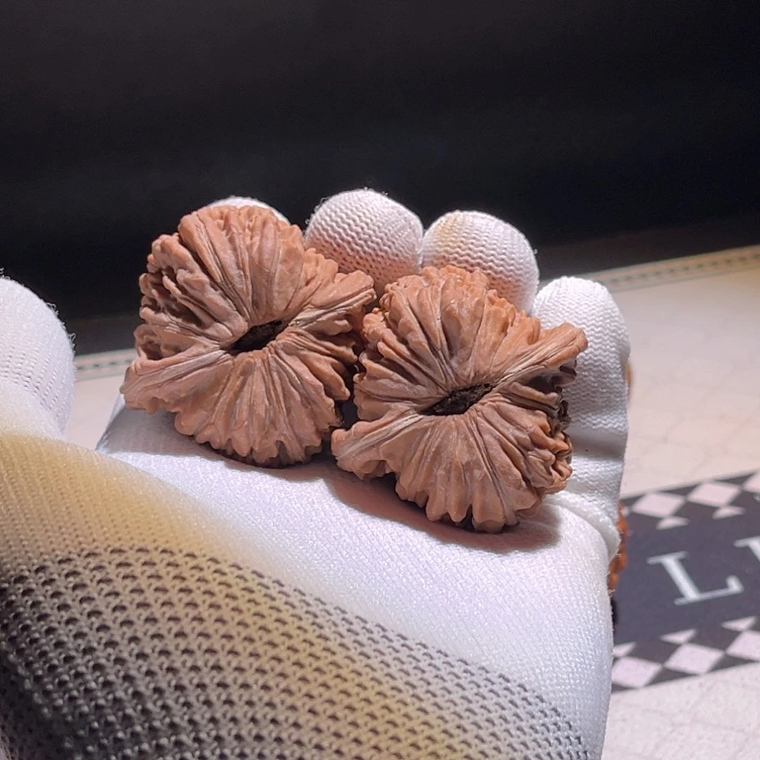 梵***天全品。43全品。楼子 精对。