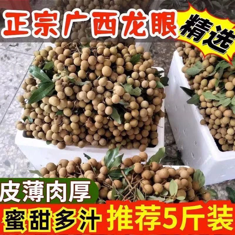 广西平南特产石硖龙眼新鲜现摘清甜多汁2025当季水果桂圆批发整箱