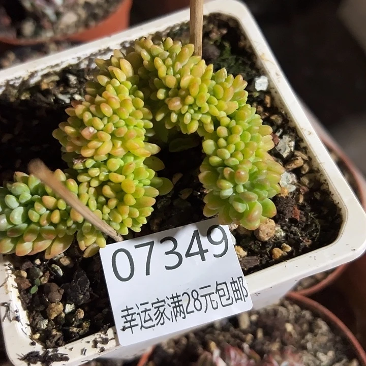 幸运的是我没有遇到过这样