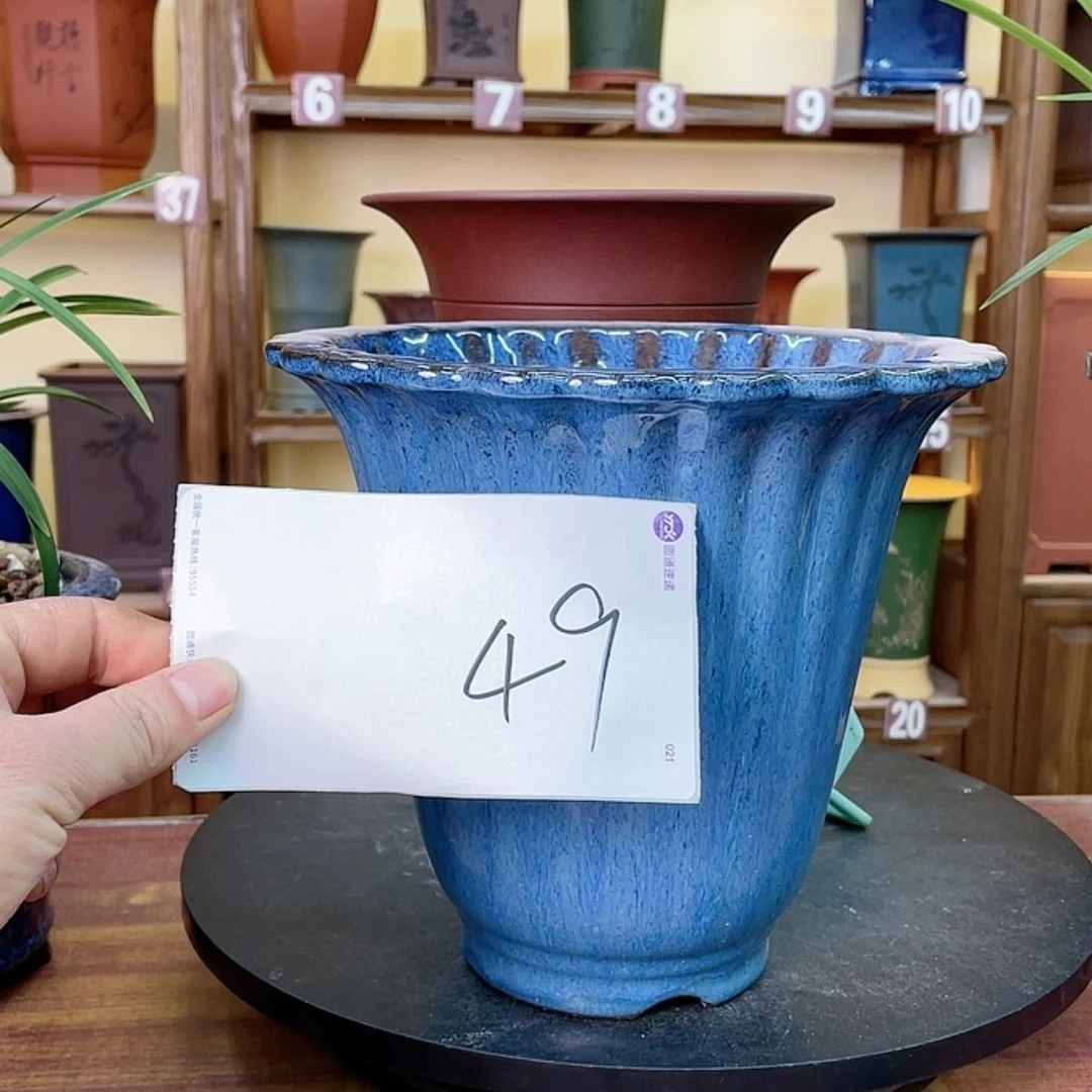 【闪购商品】紫砂花盆兰花643464545466464644