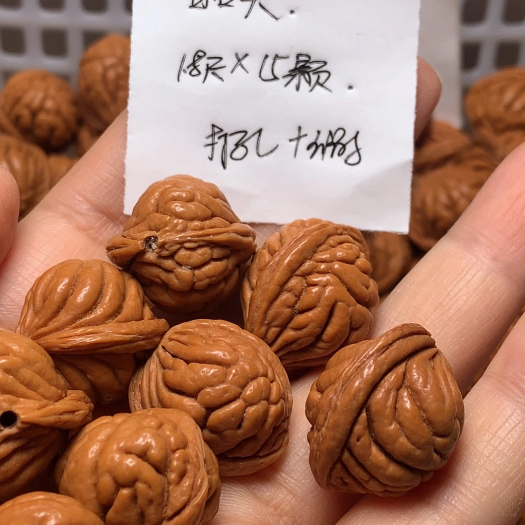 野生龙纹桃核霸王龙