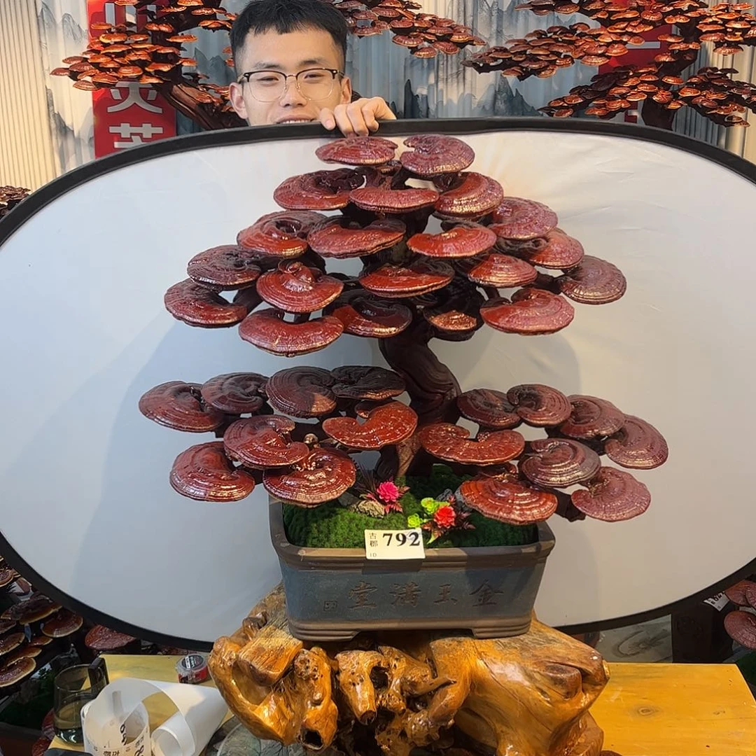 无花朵088888888888