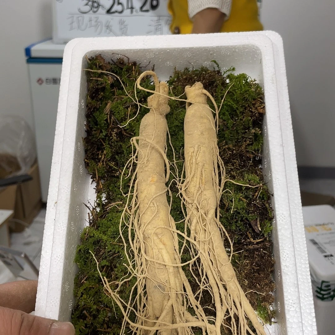 中国大陆长白山鲜