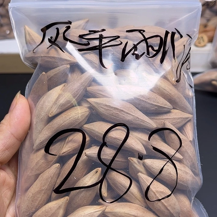 风***顺手串/手链橄榄核1111