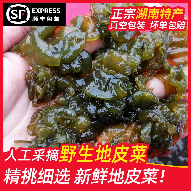 湖南野生新鲜地皮菜地木耳免洗地衣苔藓地软雷公菌非干货顺丰包邮